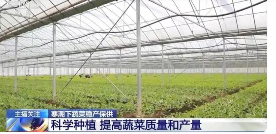 印度电影又出神片